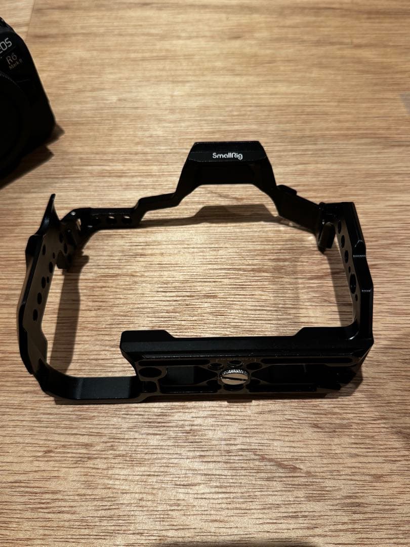 【美品】Canon EOS R6 Mark II 本体/ ケージ付き