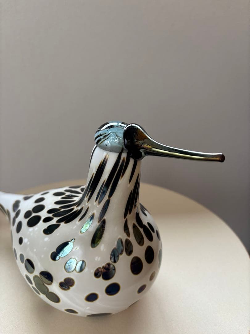 イッタラバード　Spotted Sandpiper SSKK 2006 傷あり