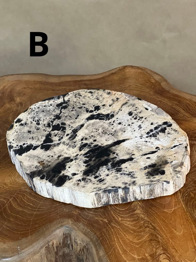 フォッシルプレート　珪化木