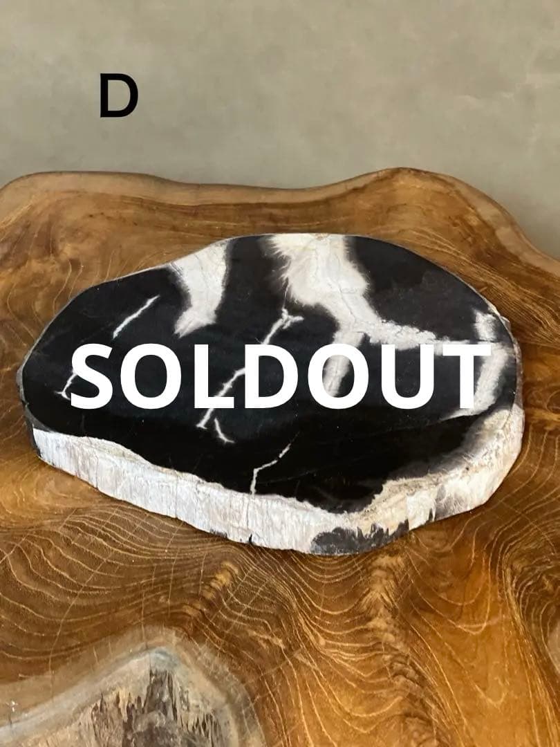 フォッシルプレート　珪化木