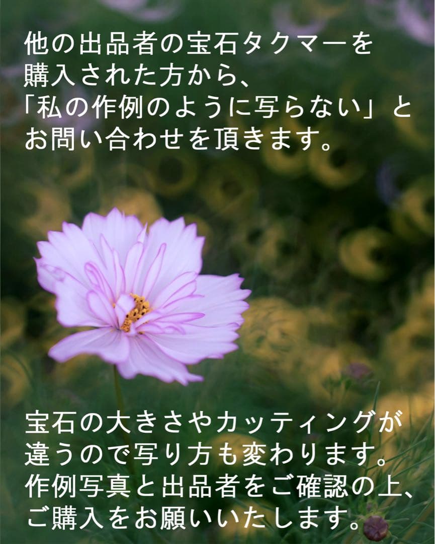 宝石レンズ_SMC_Takumar 55mm_f1.8_ax