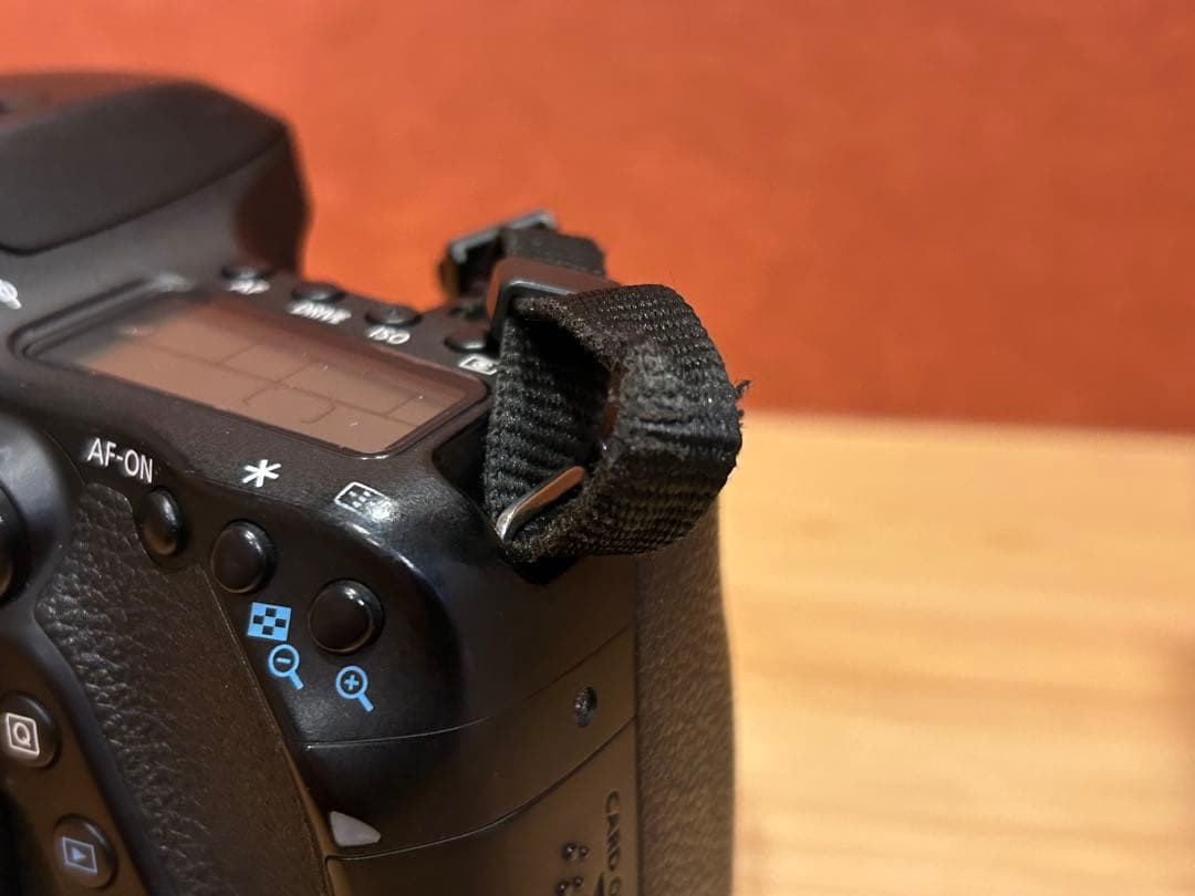 Canon EOS80d ボディ本体　おまけ本付き