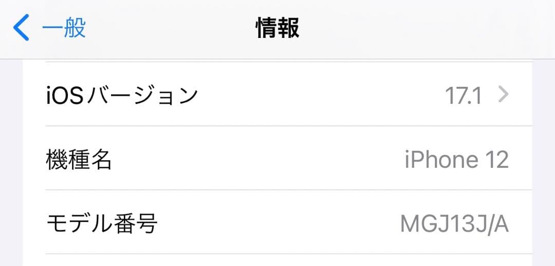 iPhone 12 ホワイト 256 GB SIMフリー