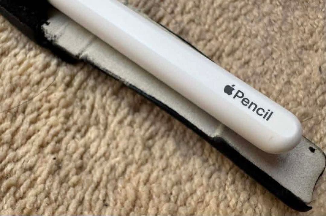 builuhavipa4 さん限りiPad Pro 11インチ 第1世代