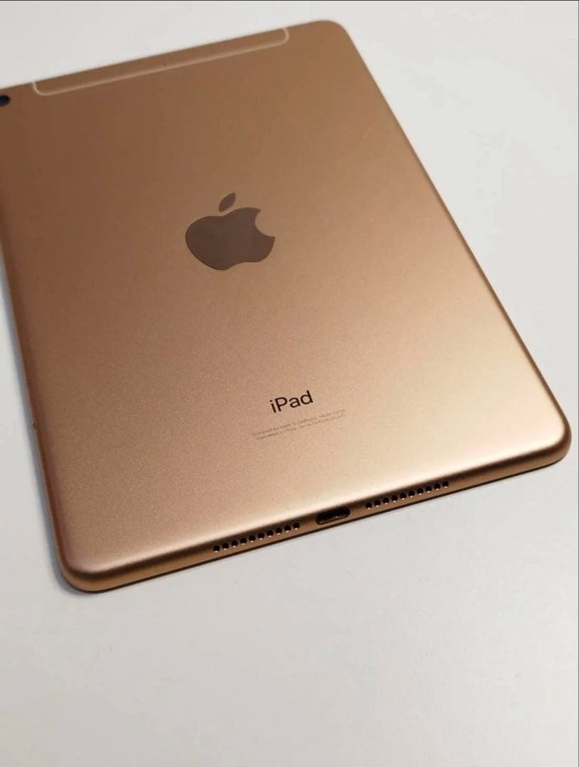 t*a様 良品iPad mini 5 WiFi+cellular256GB SI