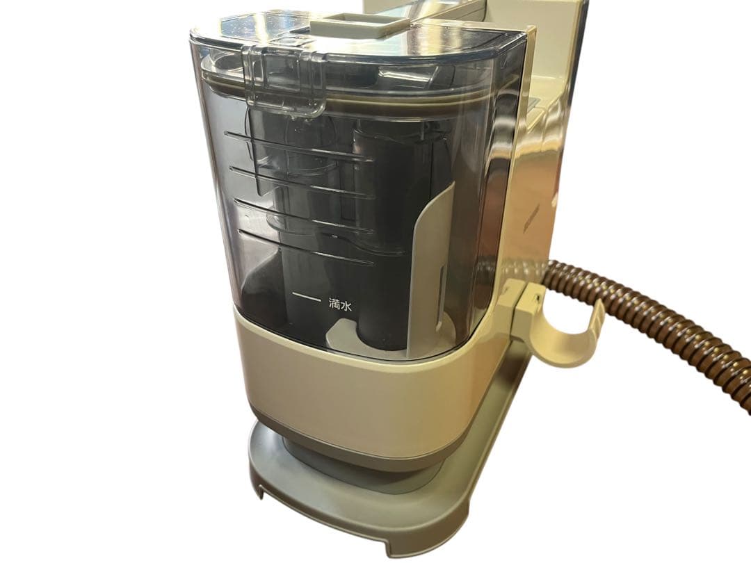 IRIS OHYAMA RNS-P10 カーペットクリーナー リンサークリーナー