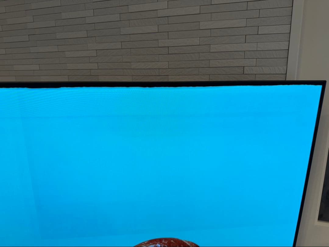 ふーまりょう様⭐︎東芝 有機ELテレビ 65X8900K 21年製