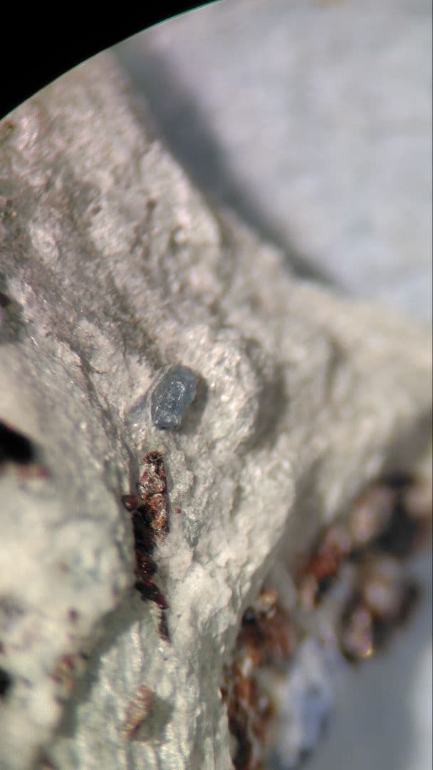 ベニトアイト、ネプチュナイト　アメリカ合衆国産　1084