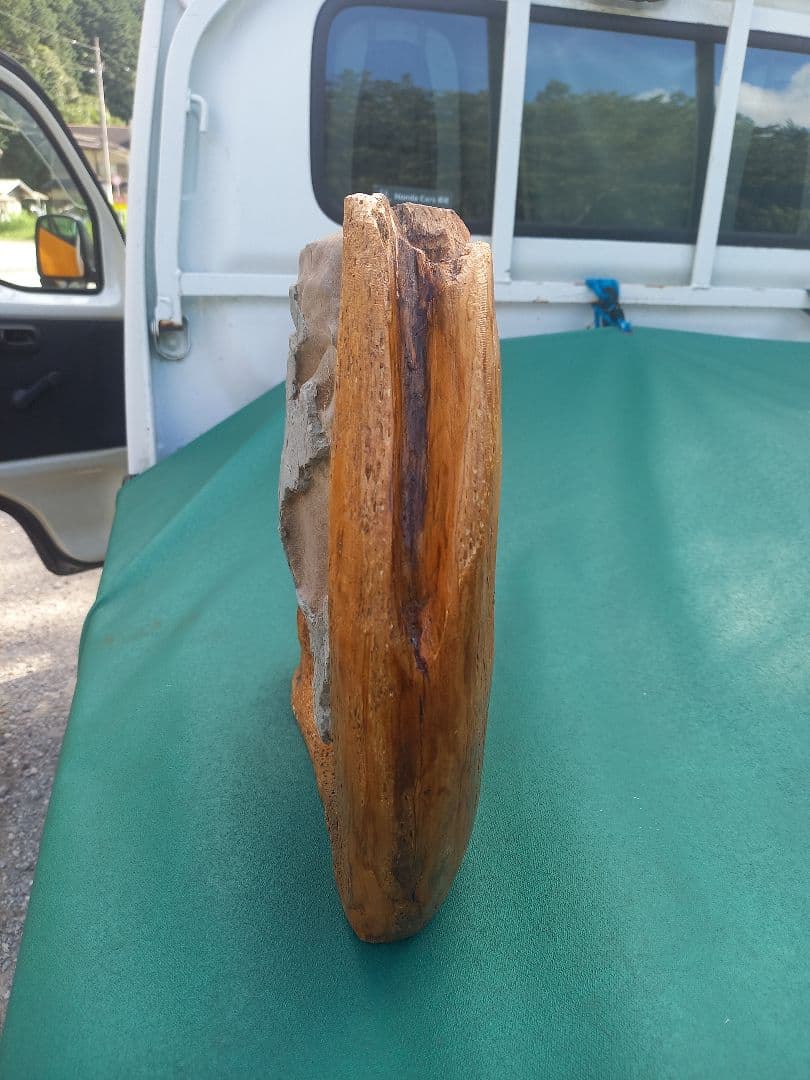 ▪️鑑賞石▪️置物▪️飾石 ■ 糸掛石 ■水石 ■