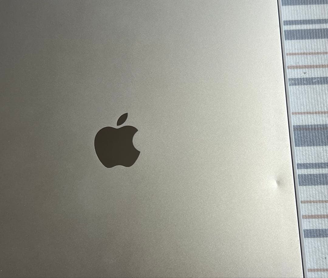 12.9インチ iPad Pro（第3世代/2018） 256GB シルバー