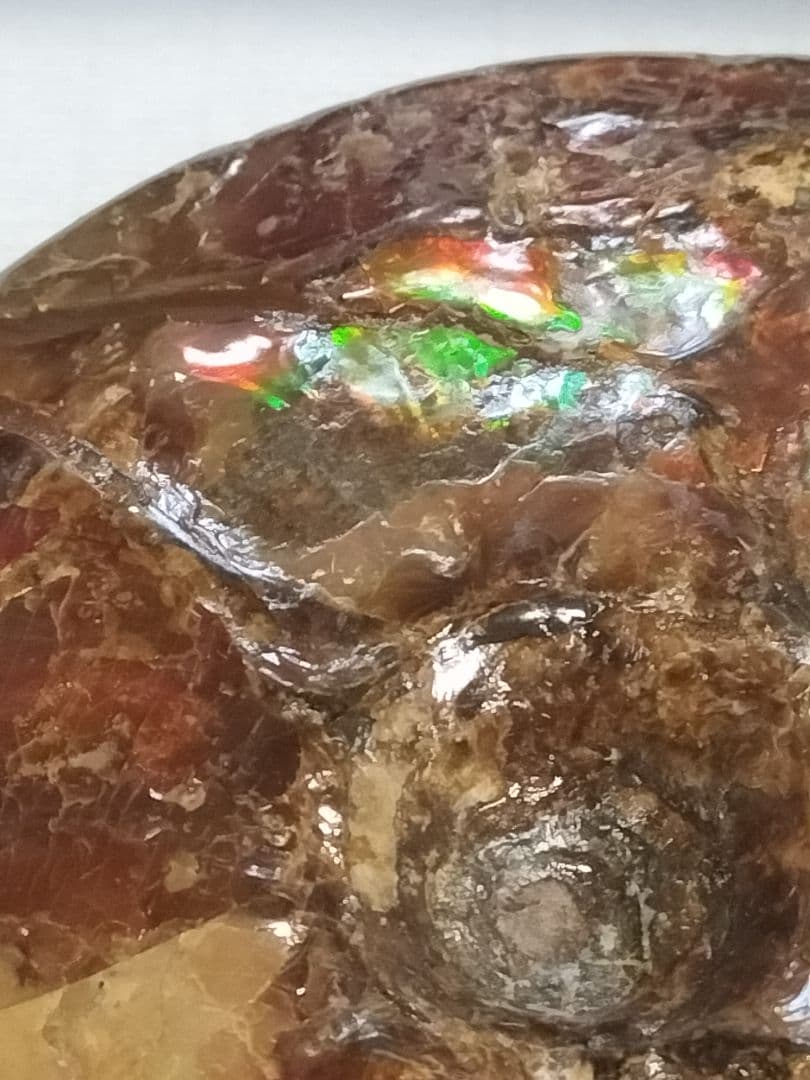 アンモライト原石