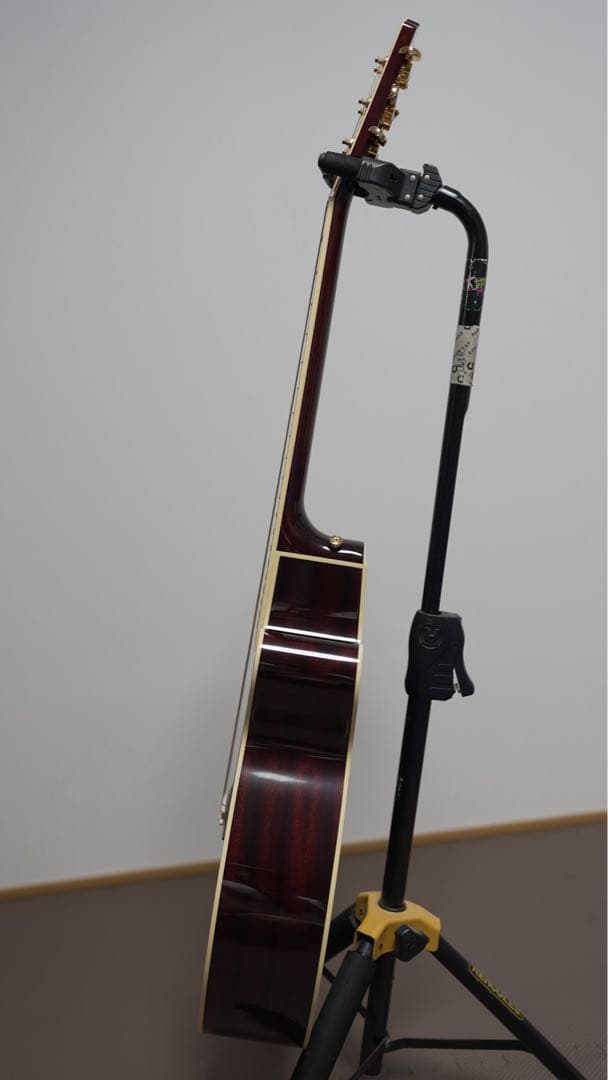 ギター Takamine DMP551C WR