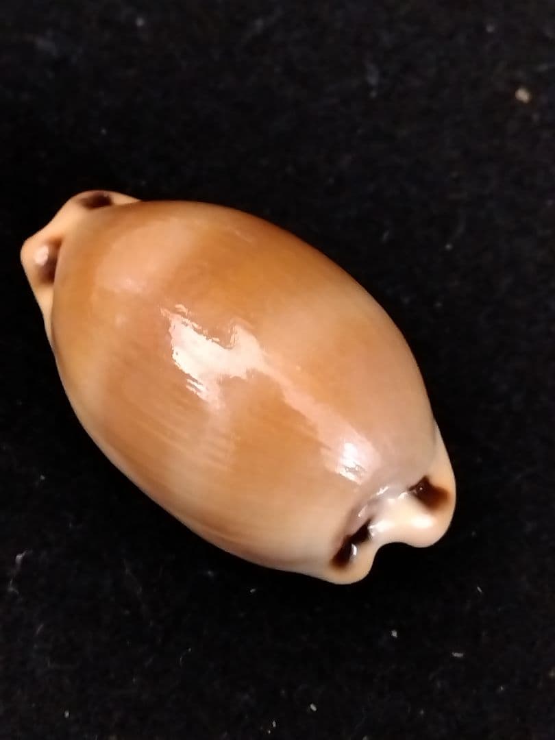 Narita様 リクエスト 7点 まとめ商品