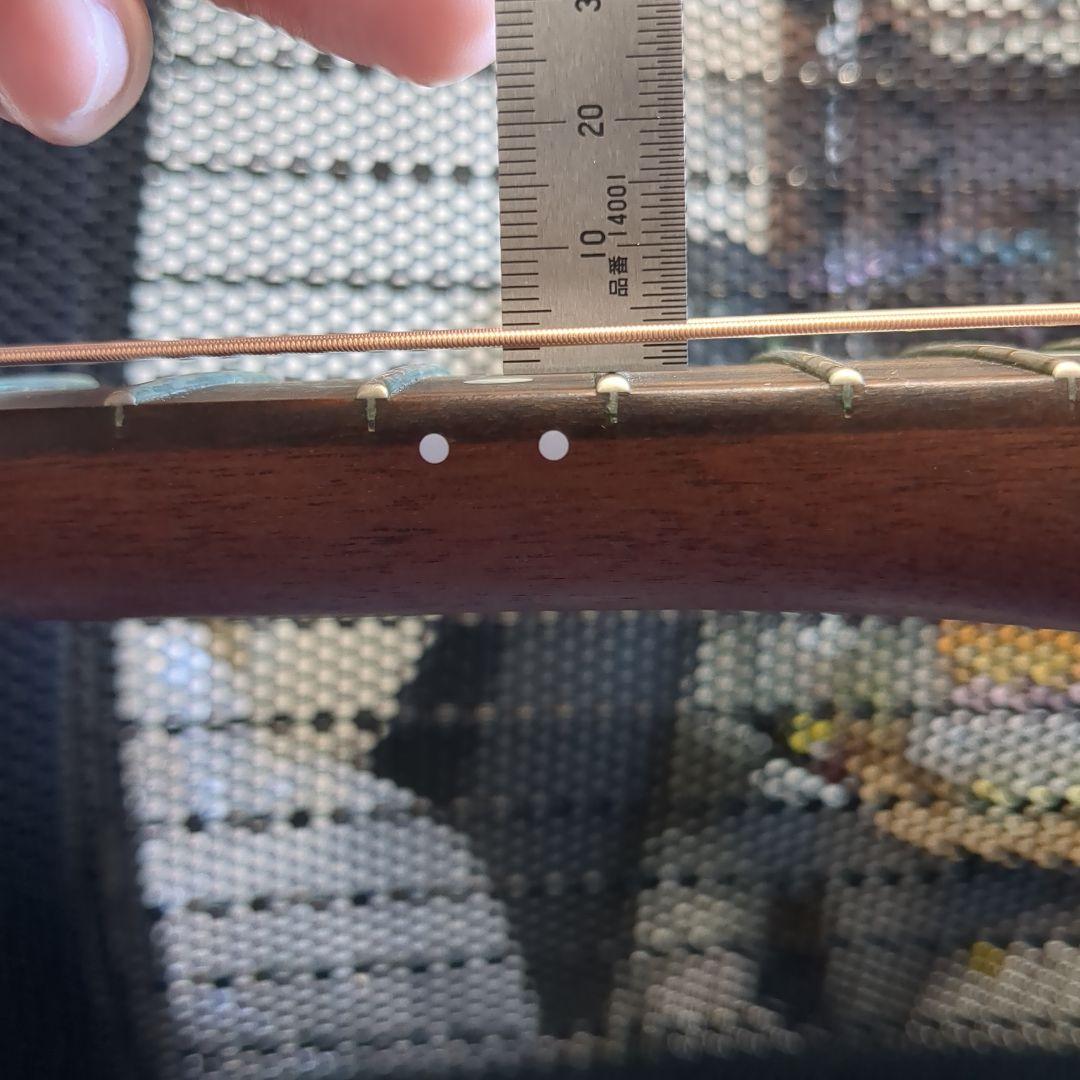 American Acoustasonic Telecaster おまけ多数