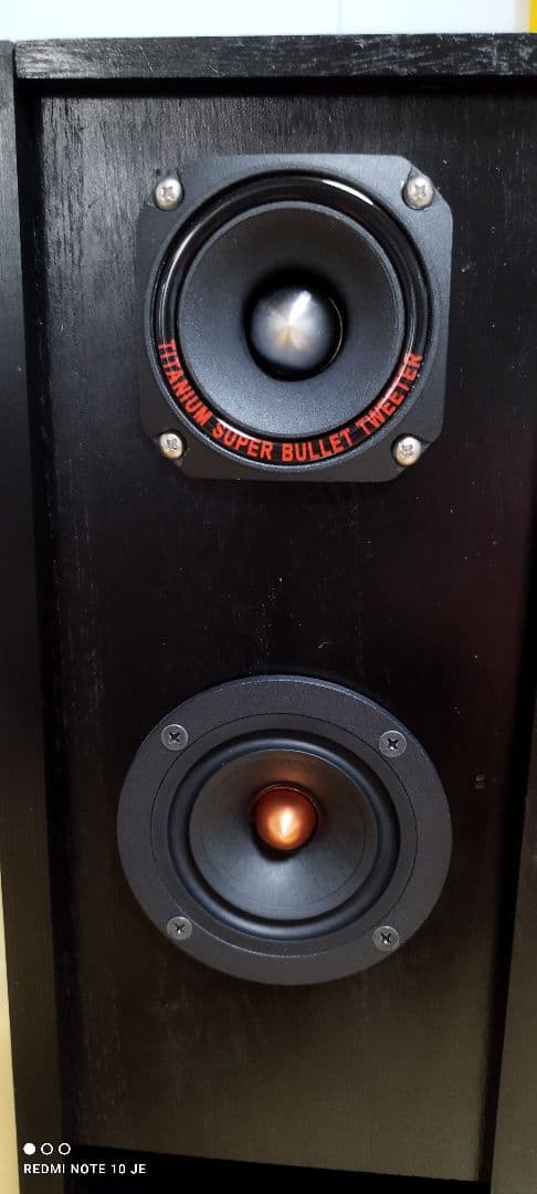 (良いね値下げ後１週間で終了)自作 2ウェイスピーカー ブラック