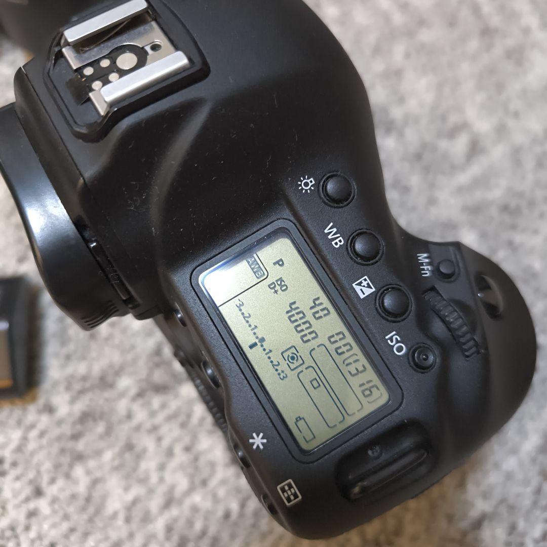 【美品】Canon eos 1DX + EF 50mm f1.4