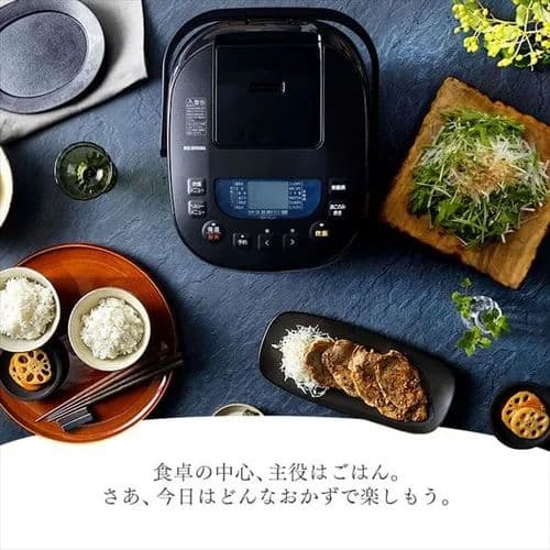 アイリスオーヤマ 炊飯器 1升炊きRC-ME10-B