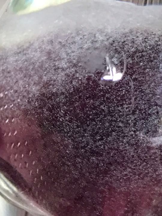 商談中グレイッシュな紫のクラゲのオブジェ　グアム購入　アメリカ製ビンテージ