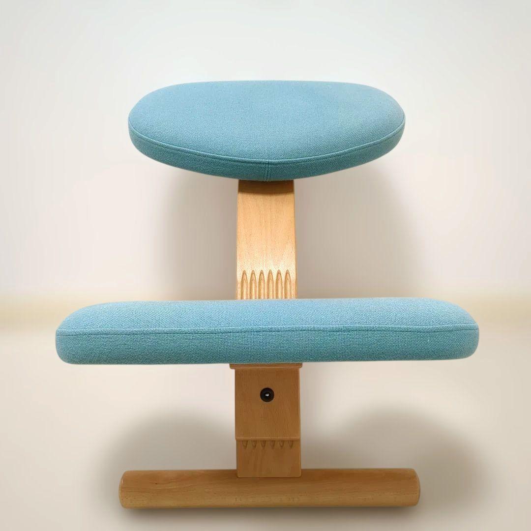 Rybo Balance Easy バランスイージー チェア　リボ社