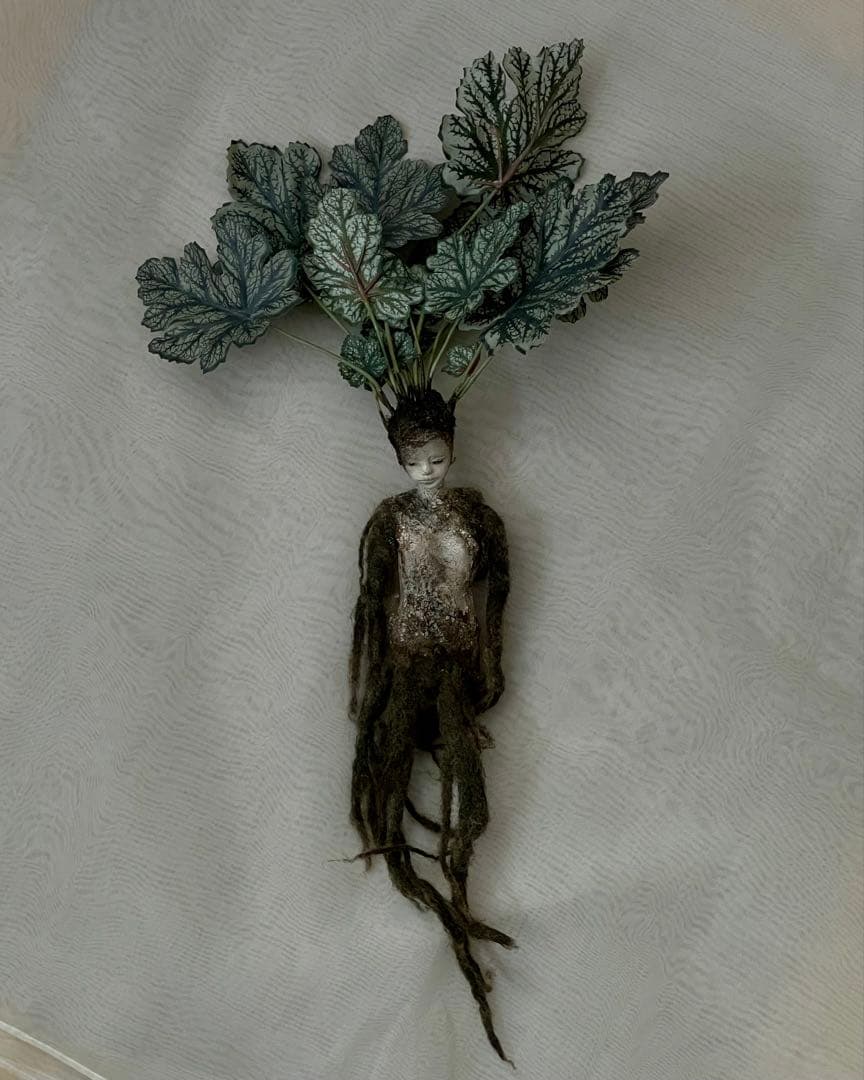 創作人形・ウーマンドレイクの標本「根を持つ者」