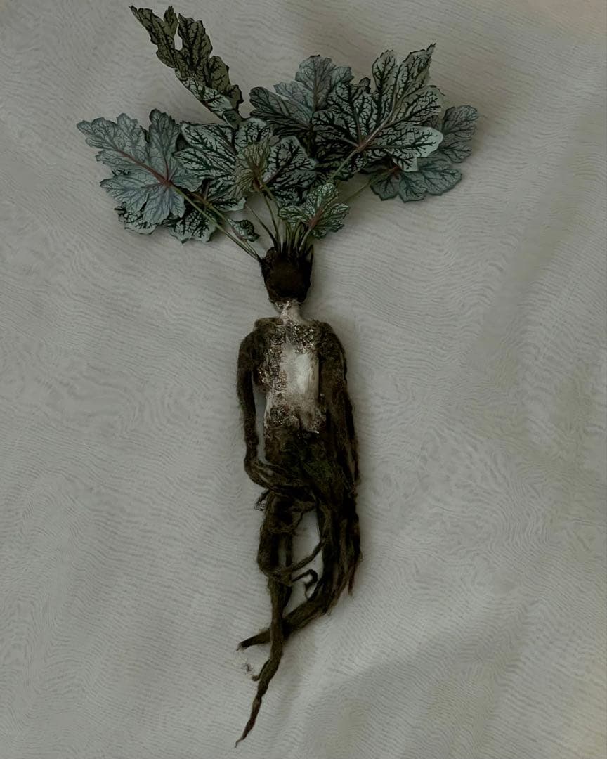 創作人形・ウーマンドレイクの標本「根を持つ者」