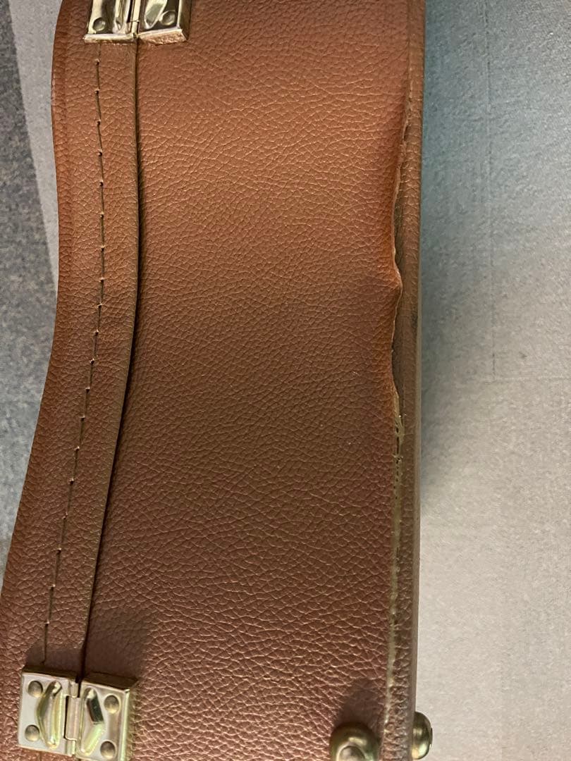 Dean Michael Schenker Exotica エレアコ