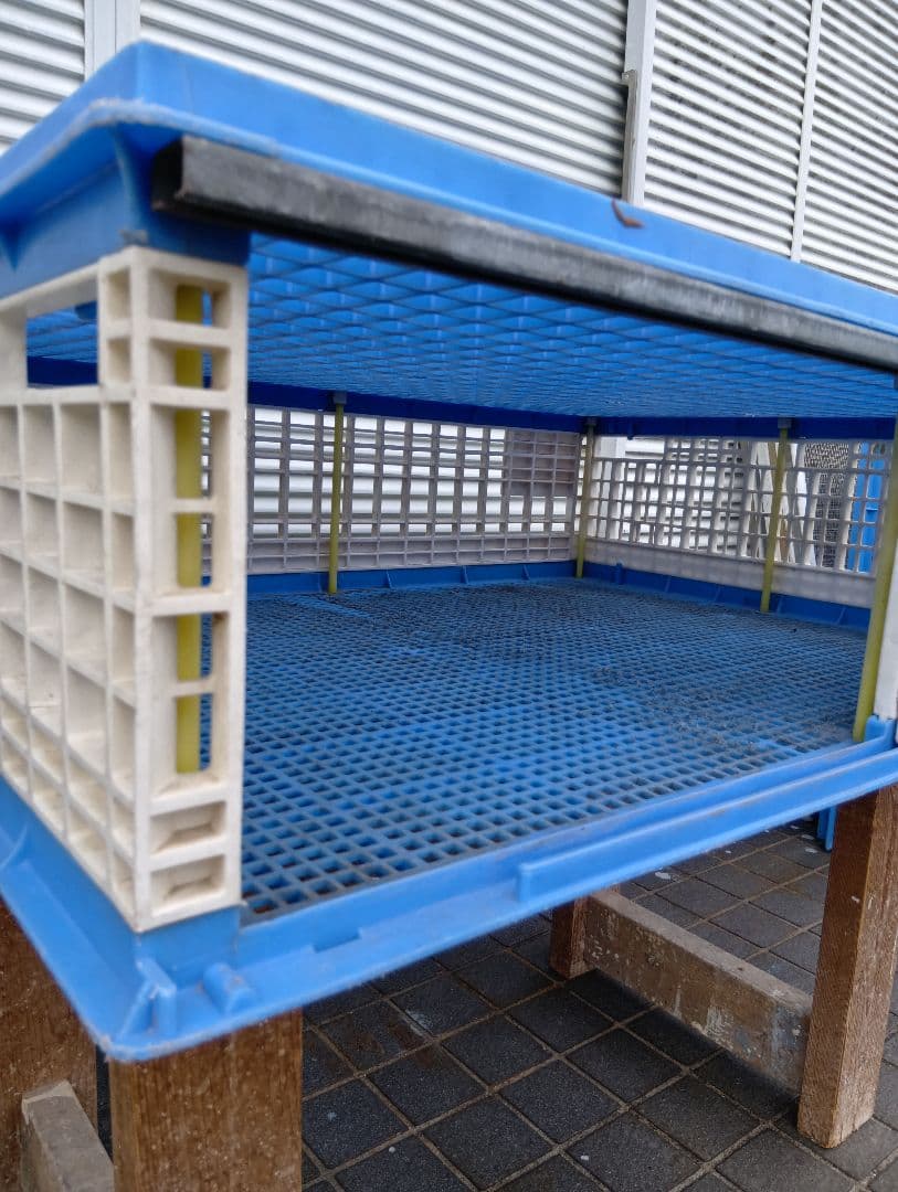 放鳩籠　コンテナ　レース鳩　移送　搬送　輸送　コンテナー　キャディー　愛鳩の友