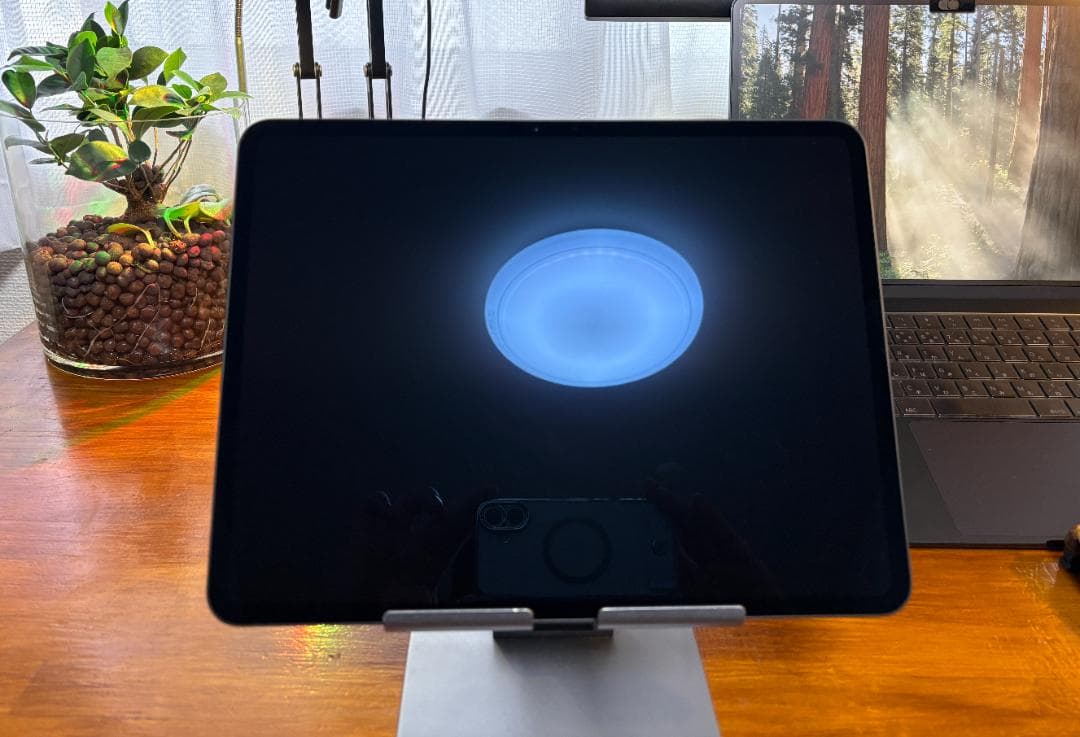 iPad Pro (M4) 13インチ　256GB　本体