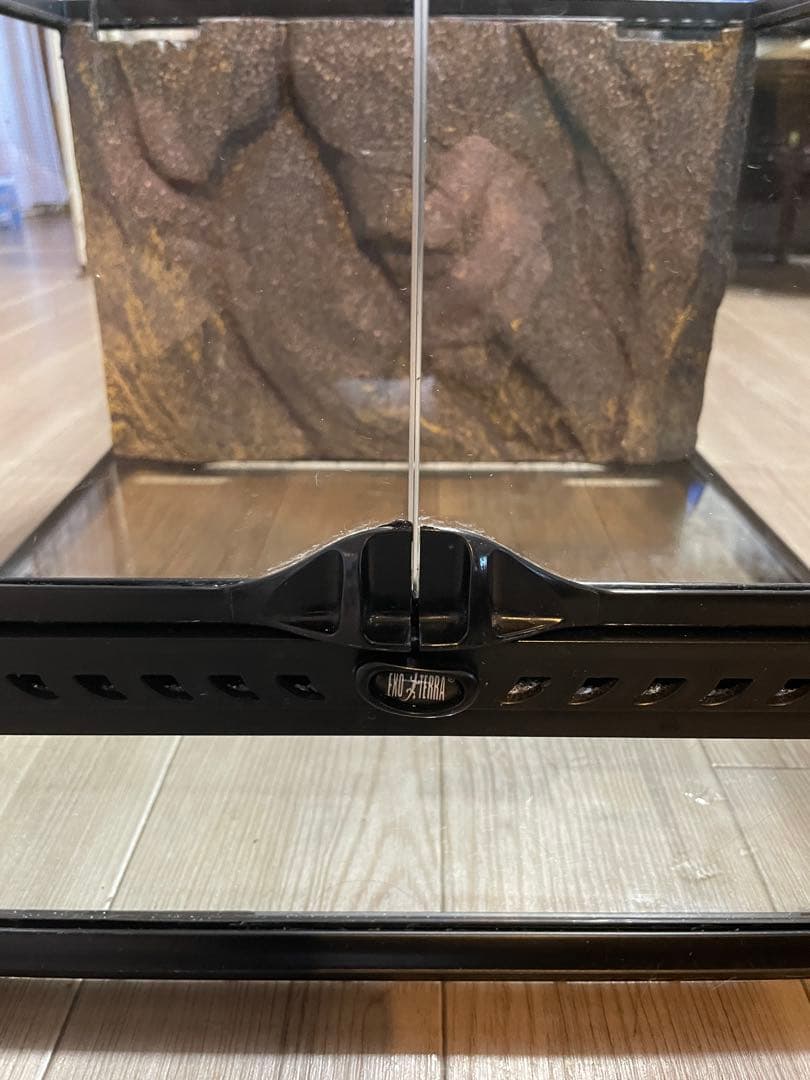 ヒ*シ様 GEX　エキゾテラ　グラステラリウム4530