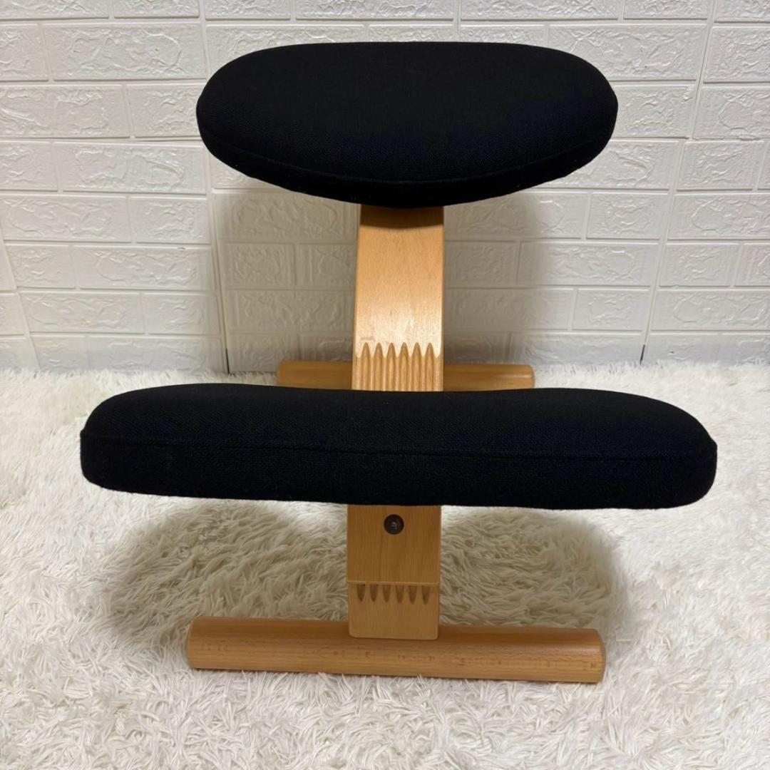 【美品】バランスチェア　イージー　リボ社　ブラック