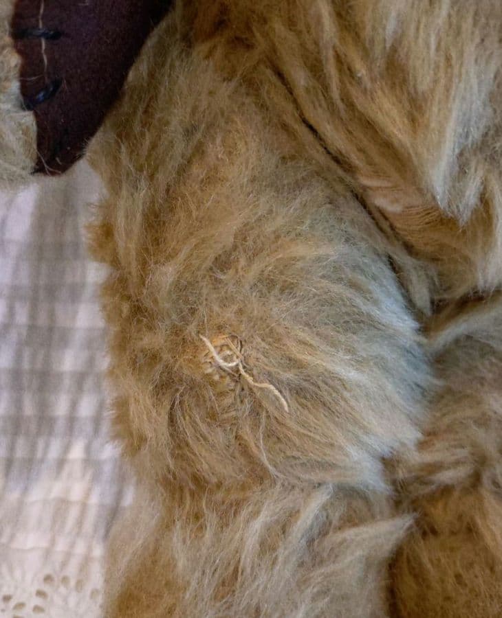 ビンテージチーキー REGDタグ 約37cm