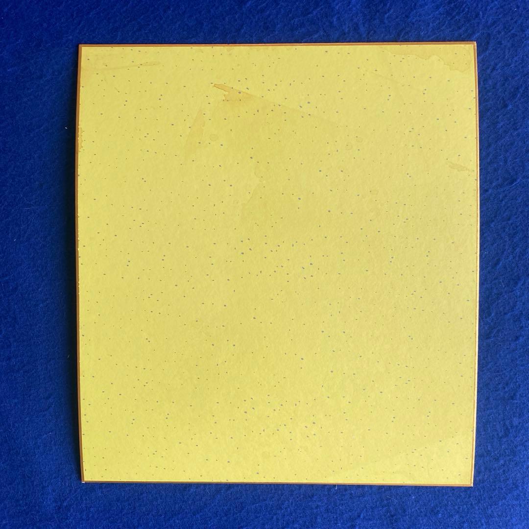 【生涯一捕手】野村克也　座右の銘『敵在我』　直筆サイン　色紙　落款入り　額付