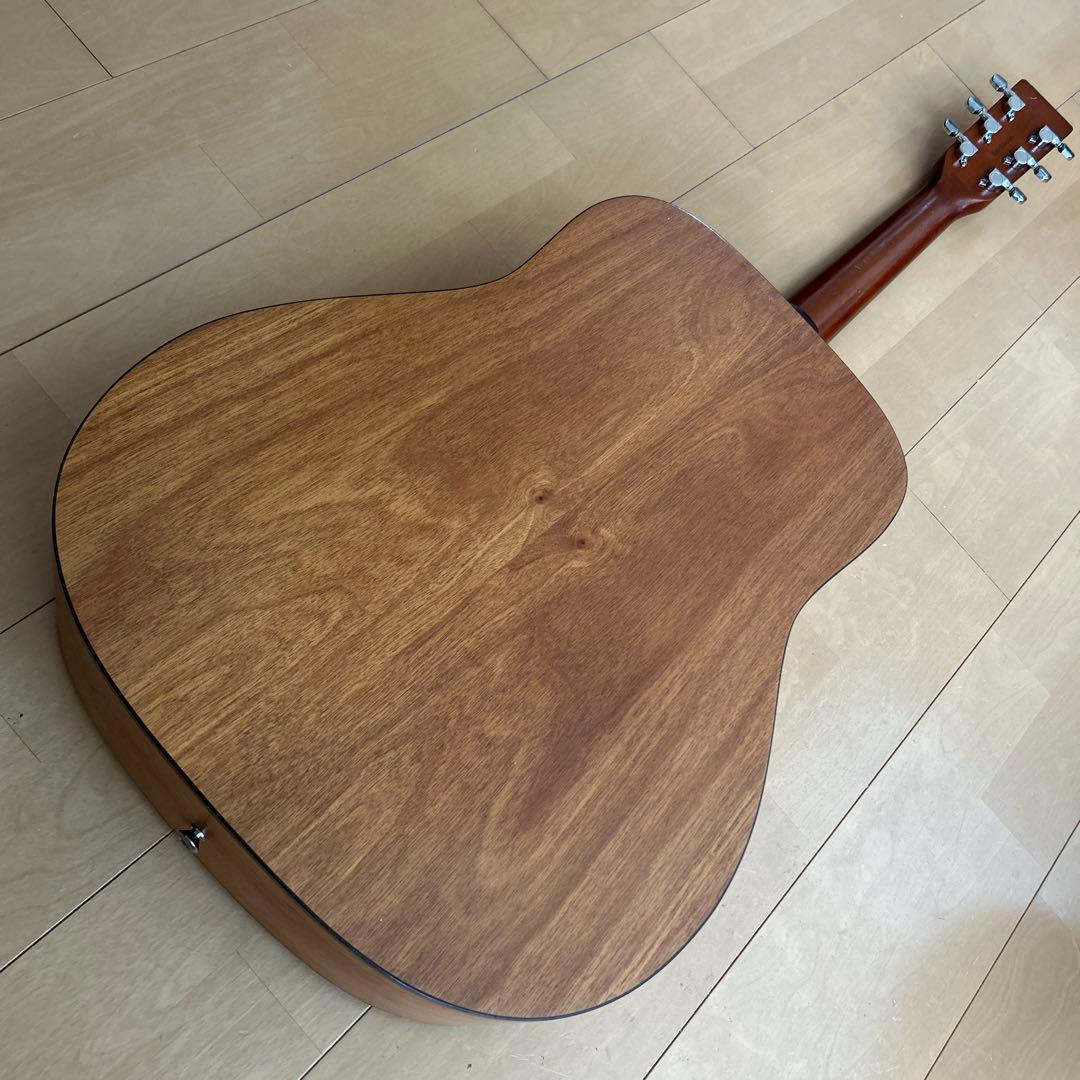 サイモン&パトリック モデル S&P6 シダー トップ単板