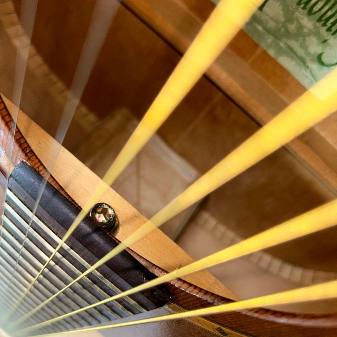 サイモン&パトリック モデル S&P6 シダー トップ単板