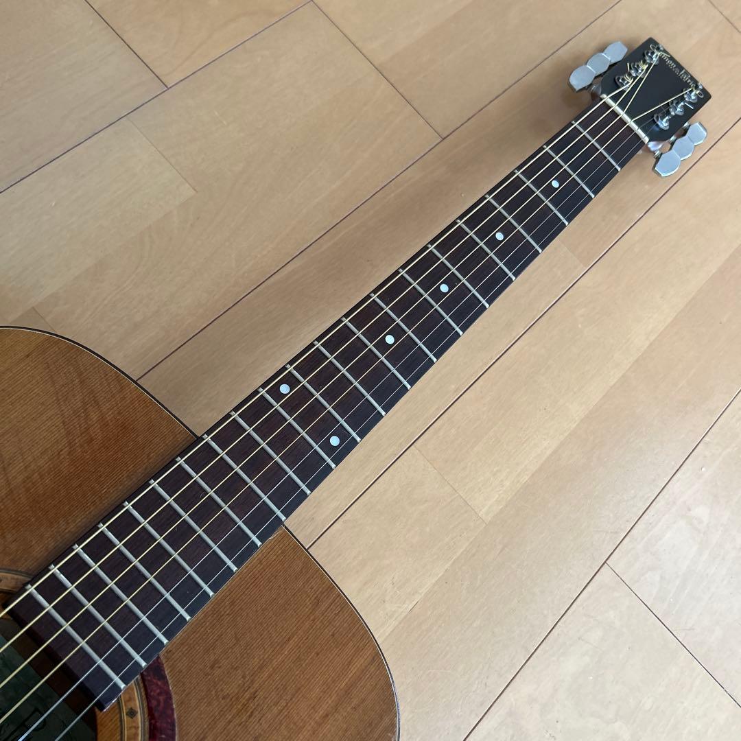 サイモン&パトリック モデル S&P6 シダー トップ単板