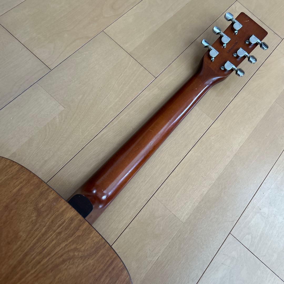 サイモン&パトリック モデル S&P6 シダー トップ単板