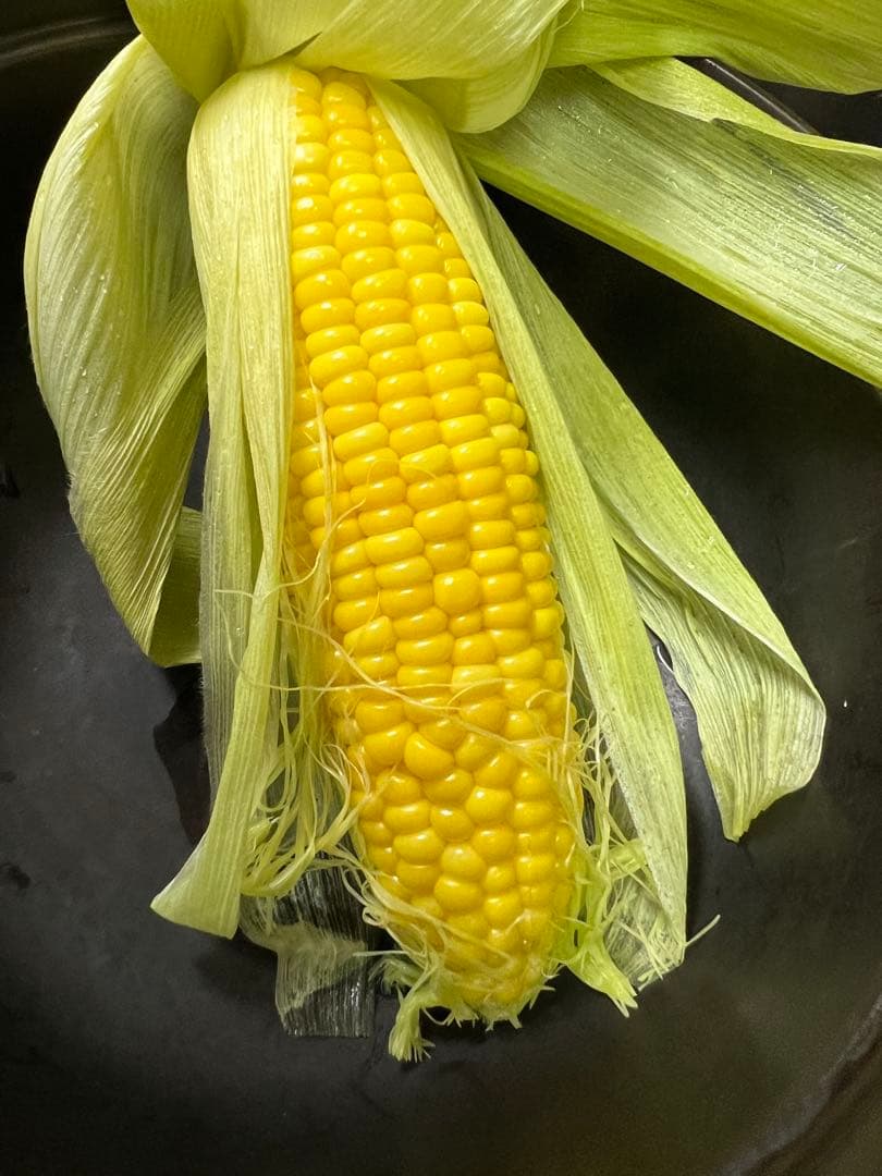 【新品】マイクロ波対策、電子レンジ専用！これからの季節は湯沸しにも！