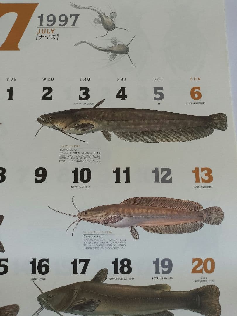 BE-PAL ビーパル カレンダー 新品未使用 1997年　ヴィンテージ