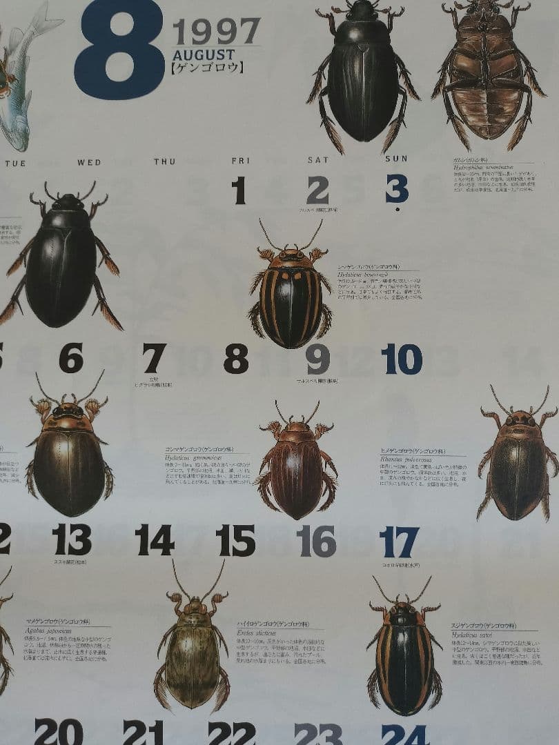 BE-PAL ビーパル カレンダー 新品未使用 1997年　ヴィンテージ