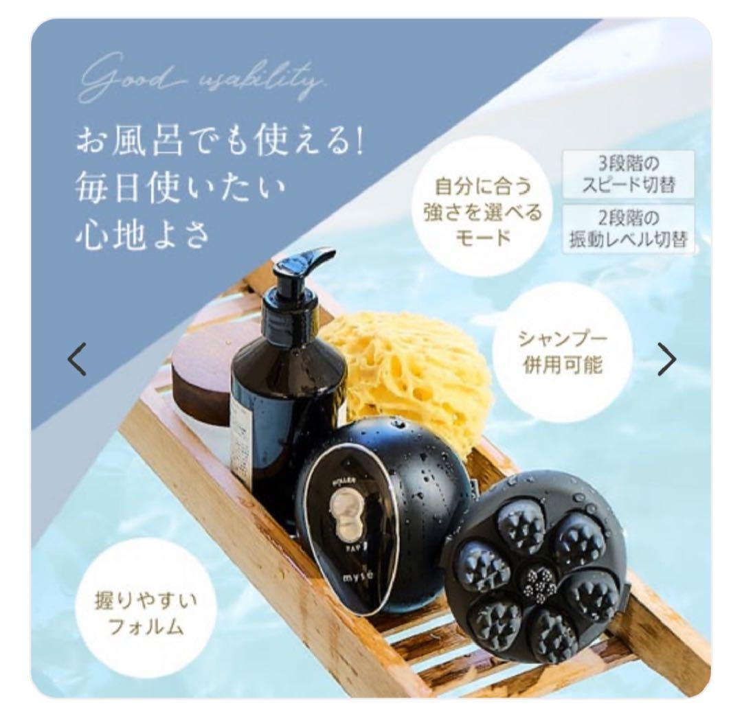 美品　ヴェーダニードルスパ BS for Salon 　PSM-180B