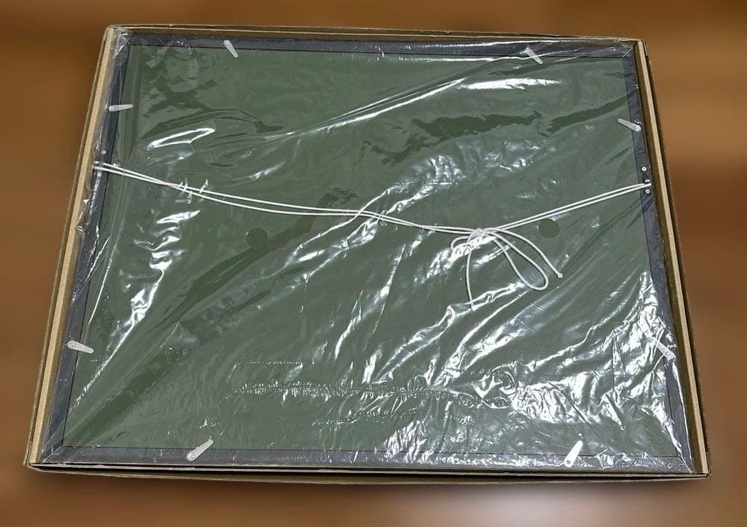 ワンピース　複製原画　STORNG WORLD