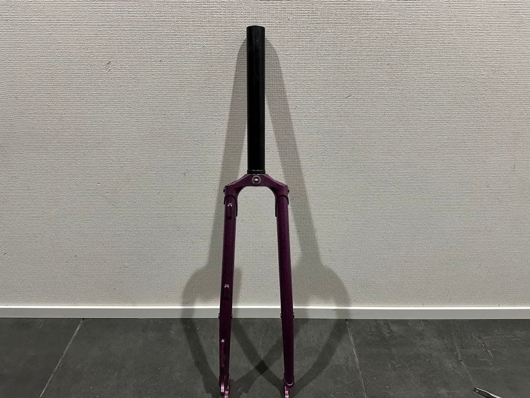 surly straggler 700c fork モデルチェンジ前