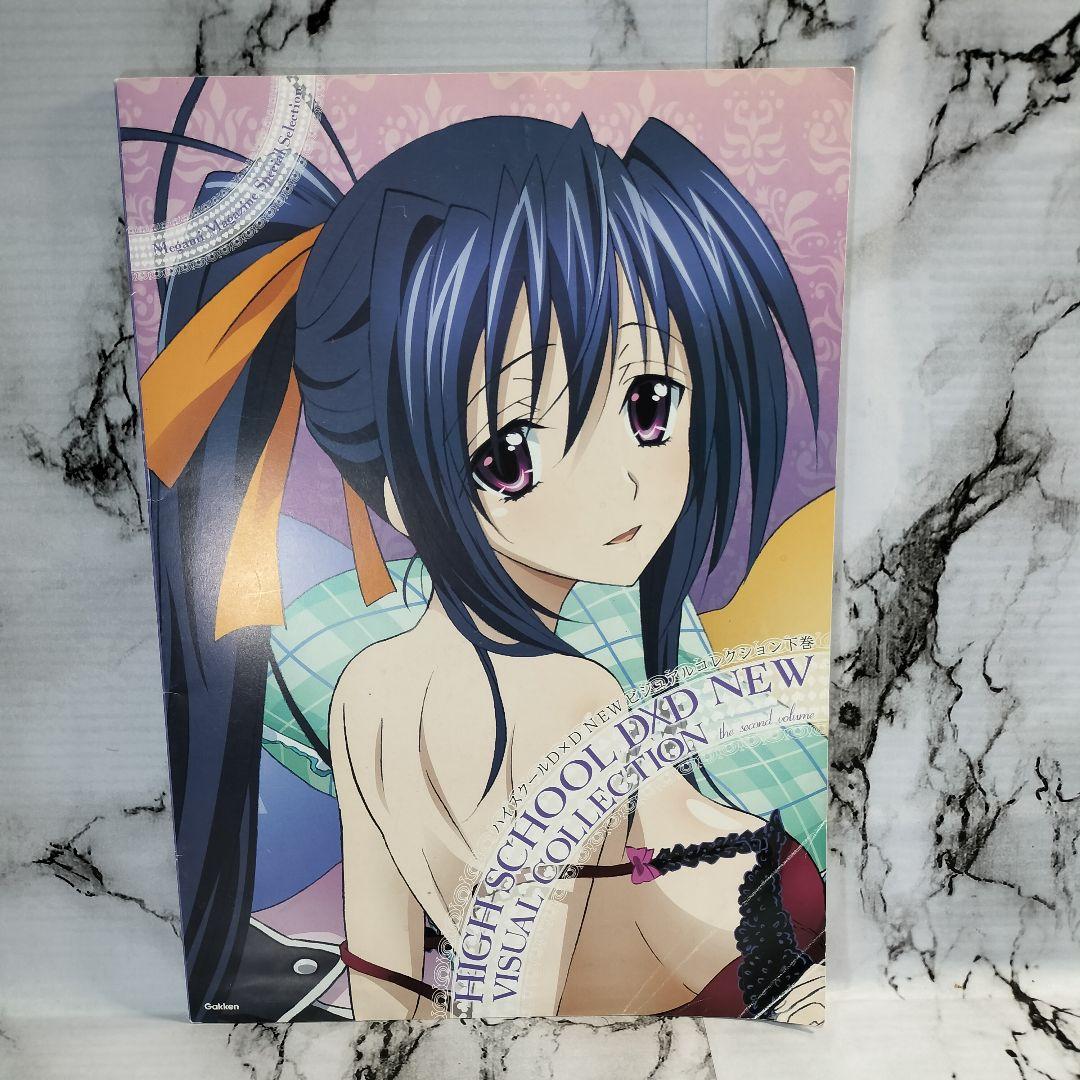 ハイスクールD×D NEW　ビジュアルコレクション 下巻　メガミマガジン
