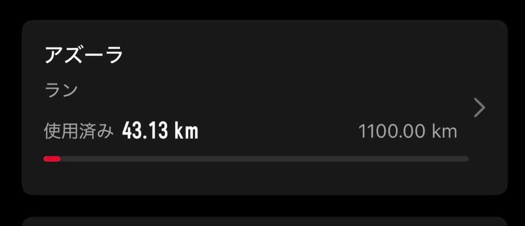 Endorphi Azura アズーラ 25.5cm