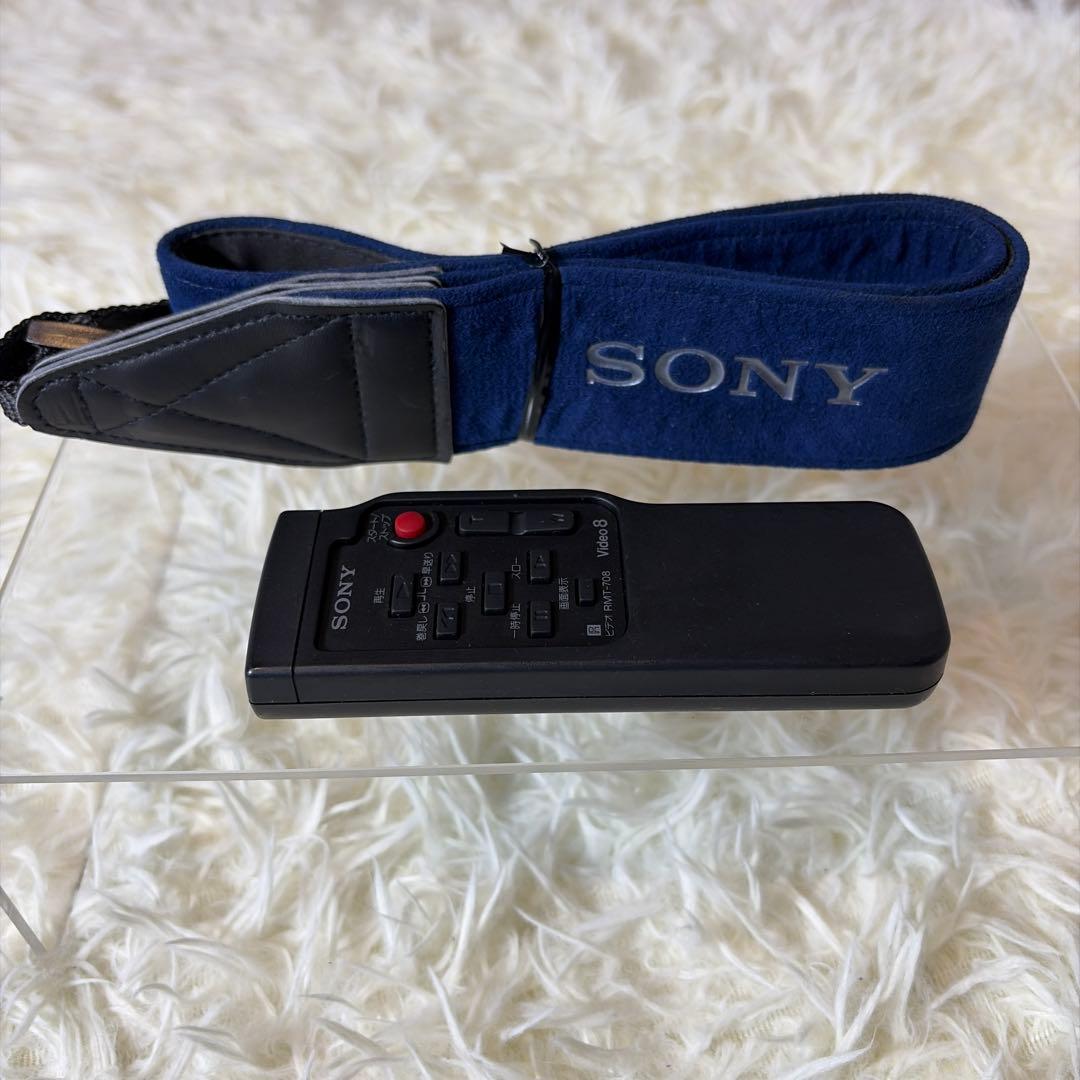 【美品】SONY Handycam DCR-VX1000 付属品多数