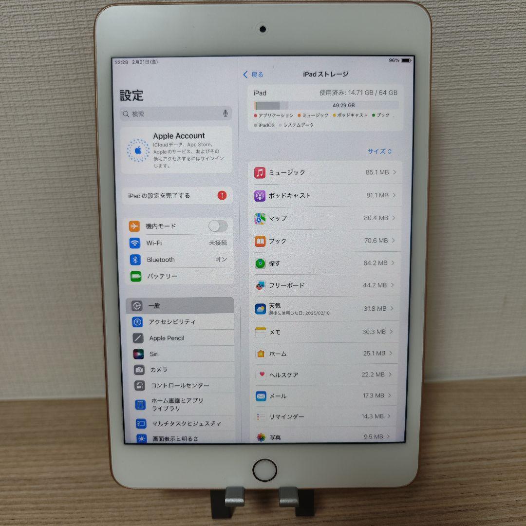 iPad本体 iPad Mini 5 64GB