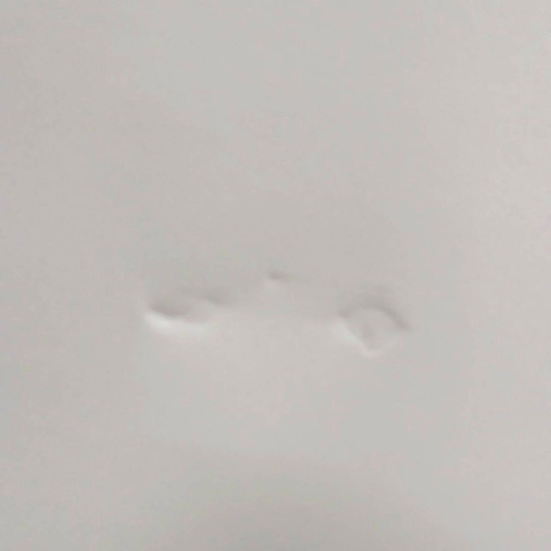 ニトリ ワードローブ WA-L0 1960 ホワイト クローゼットハンガーラック