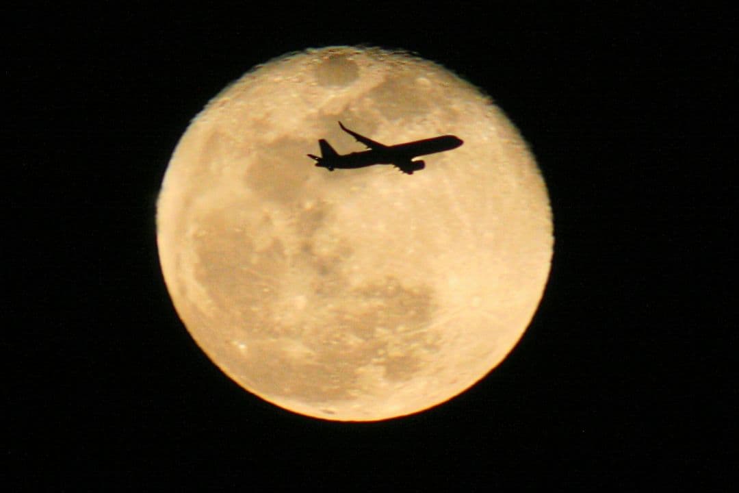 Canon EOS デジタル一眼レフカメラ 800mmレンズ付き