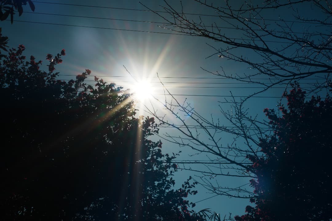 希少 Nikon AF Micor-Nikkor 55mm F2.8