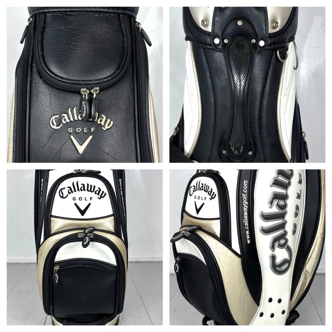 本格派 メンズゴルフクラブ 10本 フルセット ゴルフセット 豪華 お試しセット